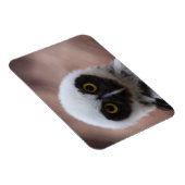 Gepantserde boomkorren magneet (Rechterzijde)