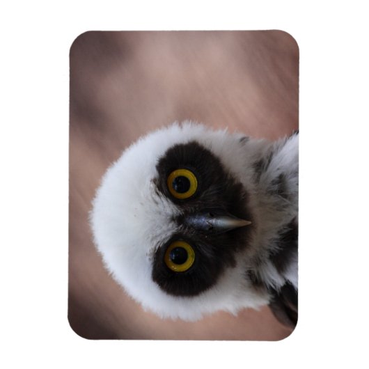 Gepantserde boomkorren magneet (Verticaal)