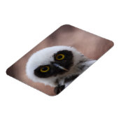 Gepantserde boomkorren magneet (Linkerzijde)