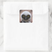 Gepantserde boomkorren vierkante sticker (Tas)