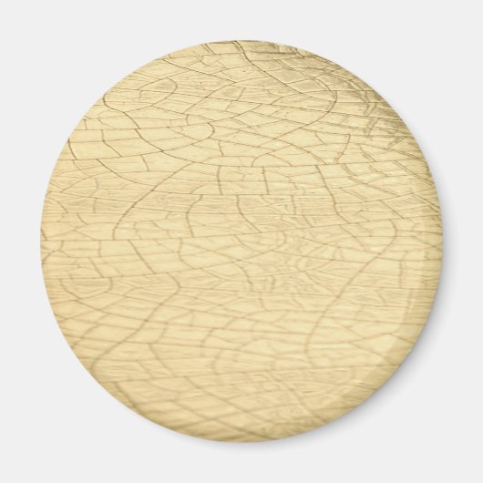 Gepantserde goudsteen magneet (Voorkant)