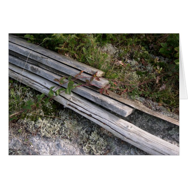 Gepantsoenen van gekaarde ribben, die de natuur op (Voorkant Horizontaal)