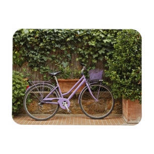 Geparkeerde fiets, Pienza, Italië, Toscane Magneet