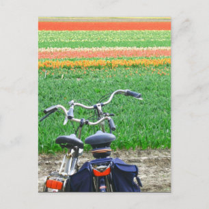 Geparkeerde fietsen Briefkaart van lentetellak