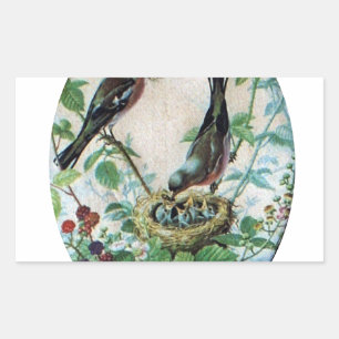 Geparkeerde ouders, kostbare kuikens: het verhaal rechthoekige sticker