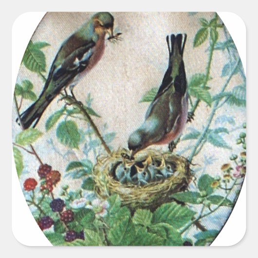 Geparkeerde ouders, kostbare kuikens: het verhaal  vierkante sticker (Voorkant)