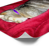 Gepasseerd Indigo Poster (Hoek)