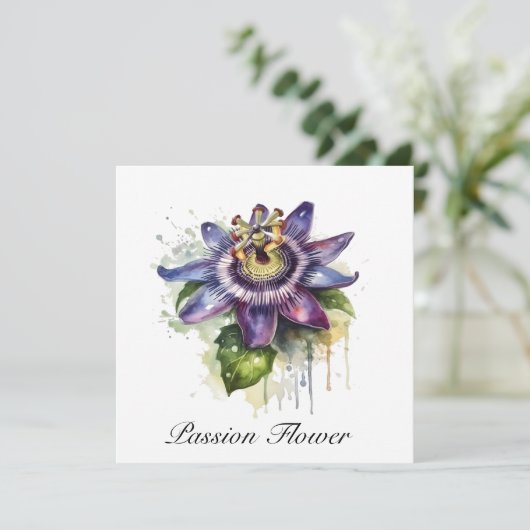 Gepassioneerde Paarse Passiebloem (Staand voorkant)