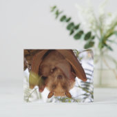 gepauletteerde vruchtenvet; moeder met kind briefkaart (Staand voorkant)