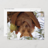 gepauletteerde vruchtenvet; moeder met kind briefkaart (Voorkant / Achterkant)