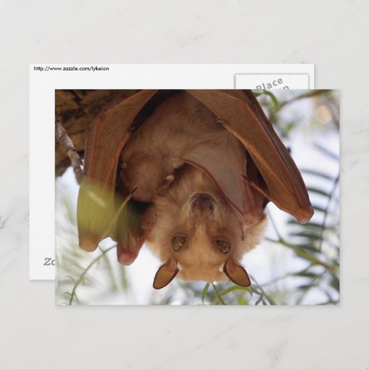 gepauletteerde vruchtenvet; moeder met kind briefkaart (Voorkant / Achterkant)