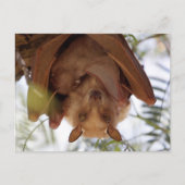 gepauletteerde vruchtenvet; moeder met kind briefkaart (Voorkant)