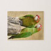Gepelde parkiet op houten paal Postkaart Vierkante Legpuzzel (Horizontaal)