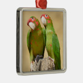 Gepelde parkiet op houten paal Postkaart Vierkante Metalen Ornament (Rechts)