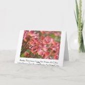 Gepensioneerd en het leven kon niet beter zijn! ka aankondiging (Achterkant)