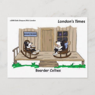 Gepensioneerde Border Collies Grappige Ongewone Ca Briefkaart