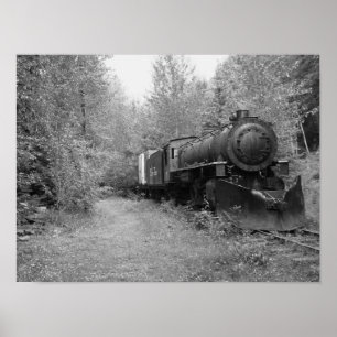 Gepensioneerde stoomtrein poster