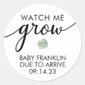 Gepersonaliseerd Baby shower Succulent Favor Ronde Sticker (Voorkant)