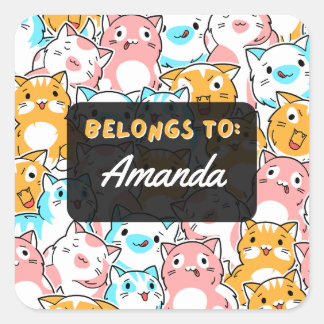 Gepersonaliseerd BEHOORT TOT Cat Square Sticker