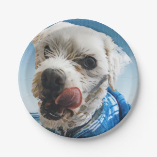Gepersonaliseerd bord voor gezelschapsdieren, them