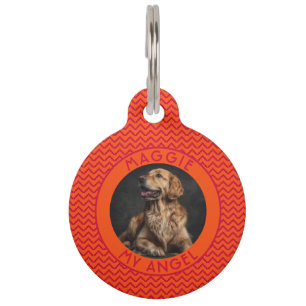 Gepersonaliseerd cadeau voor kattenliefhebber Chev Huisdierpenning