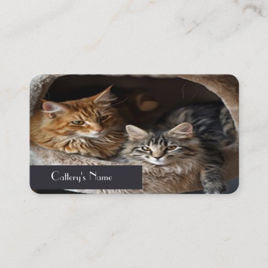 Gepersonaliseerd cattery Visitekaartje (Voorkant)