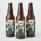 Gepersonaliseerd Cavachon Foto, Dog Bier Etiket (Flessen)