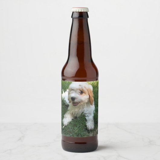 Gepersonaliseerd Cavachon Foto, Dog Bier Etiket (Voorkant)