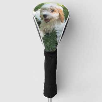 Gepersonaliseerd Cavachon Foto, Dog Golfheadcover