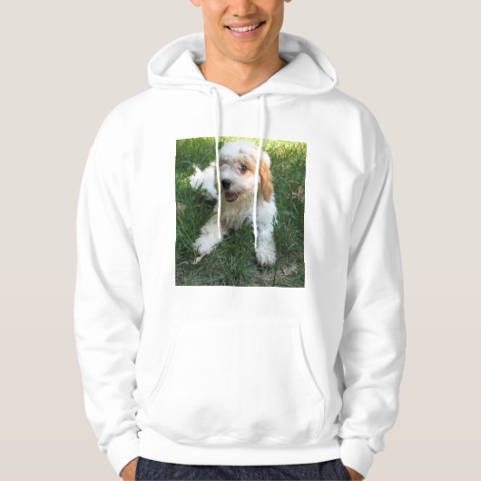 Gepersonaliseerd Cavachon Foto, Dog Hoodie (Voorkant)