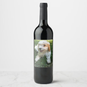 Gepersonaliseerd Cavachon Photo, Dog Wijn Etiket