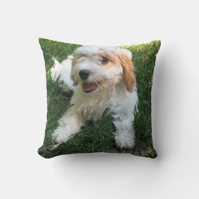 Gepersonaliseerd Cavachon Photo Pillow, Dog Kussen (Voorkant)