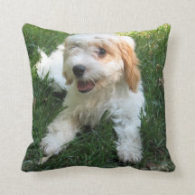 Gepersonaliseerd Cavachon Photo Pillow, Dog