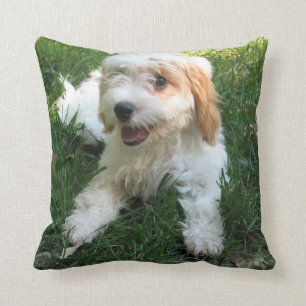 Gepersonaliseerd Cavachon Photo Pillow, Dog Kussen