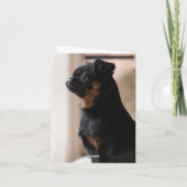 Gepersonaliseerd Cute Gotcha Day-fotokaart Kaart (Achterkant)