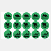 Gepersonaliseerd dinosaurusnaam Groen Schooletiket Labels (Vel)