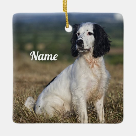 Gepersonaliseerd Engels Springer Spaniel Keramisch Ornament (Voorkant)