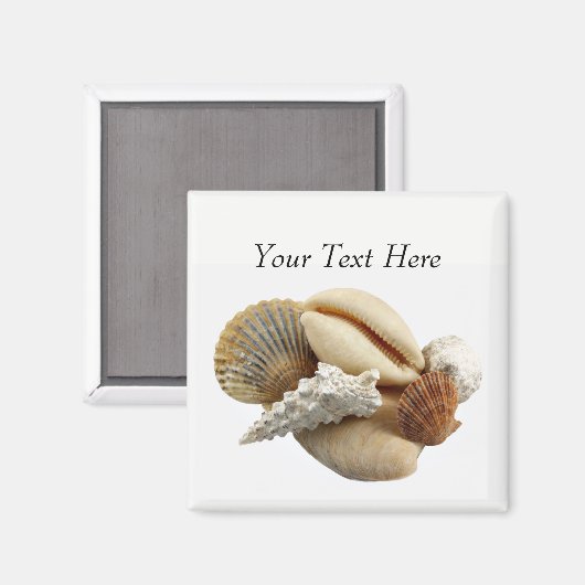 Gepersonaliseerd gemengde Seashell Photo Magnet (Voorkant / Achterkant)