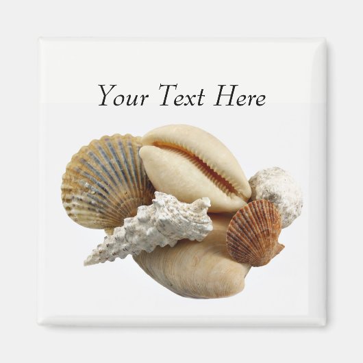 Gepersonaliseerd gemengde Seashell Photo Magnet (Voorkant)