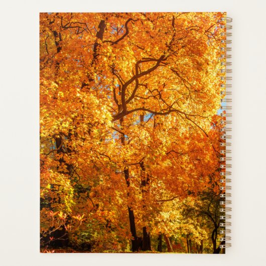 Gepersonaliseerd herfstgele bladeren 2023 Planner (Achterkant)