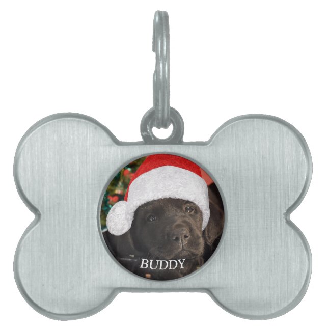 Gepersonaliseerd Hondenliefhebber voor foto's van  Huisdieren Naamplaatje (voorkant)