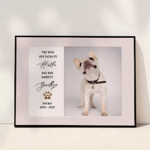 Gepersonaliseerd huisdier herdenkingsfotocollage v poster