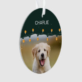 Gepersonaliseerd huisdier met behulp van Pet's Chr Ornament (voorkant)