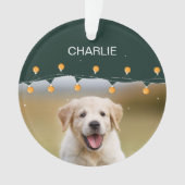 Gepersonaliseerd huisdier met behulp van Pet's Chr Ornament (voorkant)