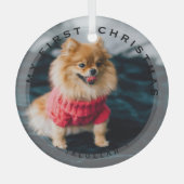 Gepersonaliseerd huisdier Mijn eerste Kerstmis Fot Glas Ornament (Voorkant)