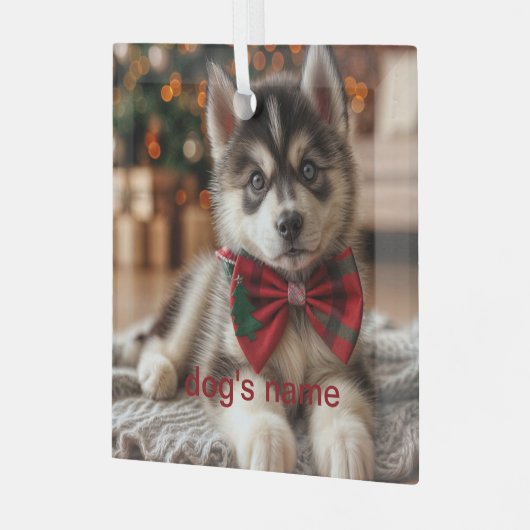 Gepersonaliseerd Husky Glas Ornament (Voorkant links)
