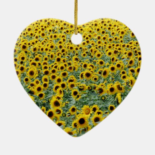 Gepersonaliseerd Je bent mijn Zonneschijn Zonneblo Keramisch Ornament (Achterkant)