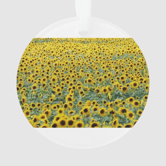 Gepersonaliseerd Je bent mijn Zonneschijn Zonneblo Ornament (achterkant)