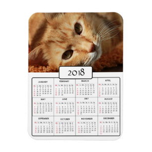 Gepersonaliseerd Kat Foto 2018 Calendar Magnet Magneet