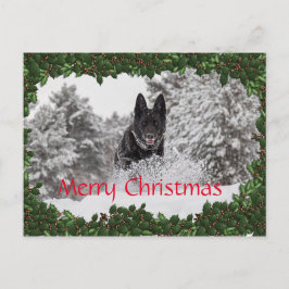 Gepersonaliseerd kerst briefkaart met zwarte hond